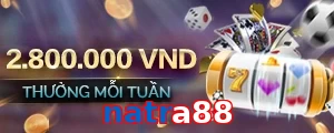 natra88